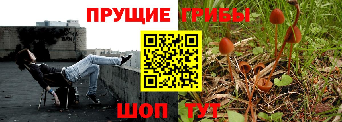 Галлюциногенные грибы мицелий Лиски